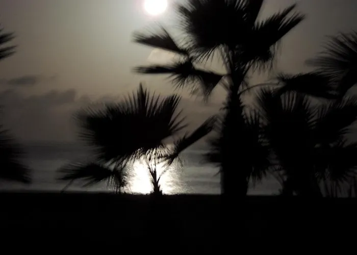 Villa Nº25B Alfredo Marchetti Suites On The Beach Praia Di Chaves